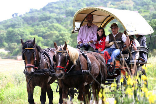 La Pulledraia Del Podere Montegrappa Alberese Dış mekan fotoğraf